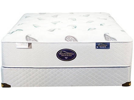 Spring Air Back Supporter Platinum Onyx Plush