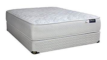 Spring Air Grand VG 13" Extra Firm