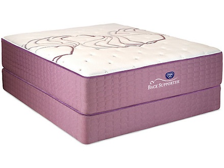 Spring Air Sleep Sense Level II Cushion Firm
