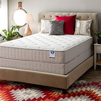 Spring Air  Tamarisk Plush
