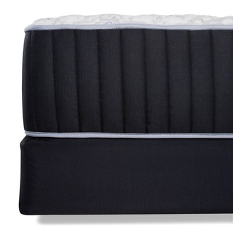 sweet dreams  ebony Hybrid