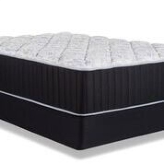 sweet dreams  ebony Hybrid