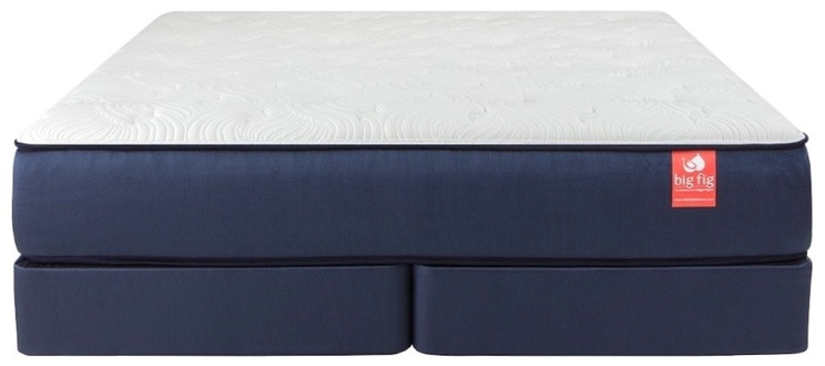 The Big Fig Mattress