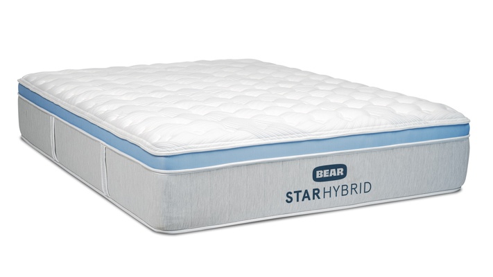 Bear Star Hybrid thumbnail