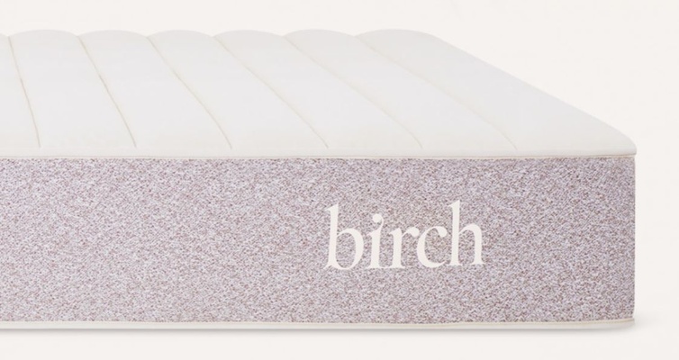 Birch thumbnail