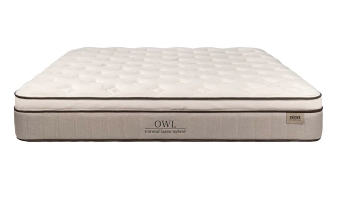 Nest Bedding Owl thumbnail