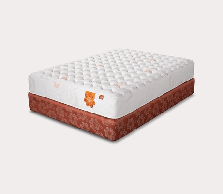 PranaSleep Karma Foam thumbnail