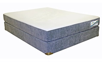 Therapedic EcoGel2 picture