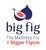 Big Fig logo