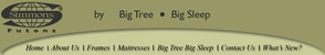 Big Tree Big Sleep logo