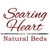 Soaring Heart logo