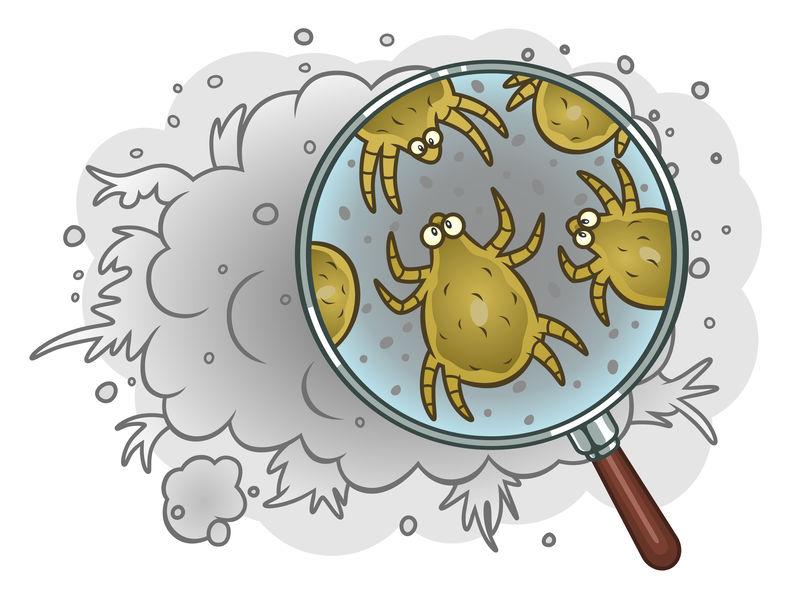 Dust Mites