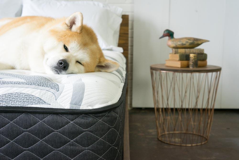 LuuF Bed Mattress Reviews