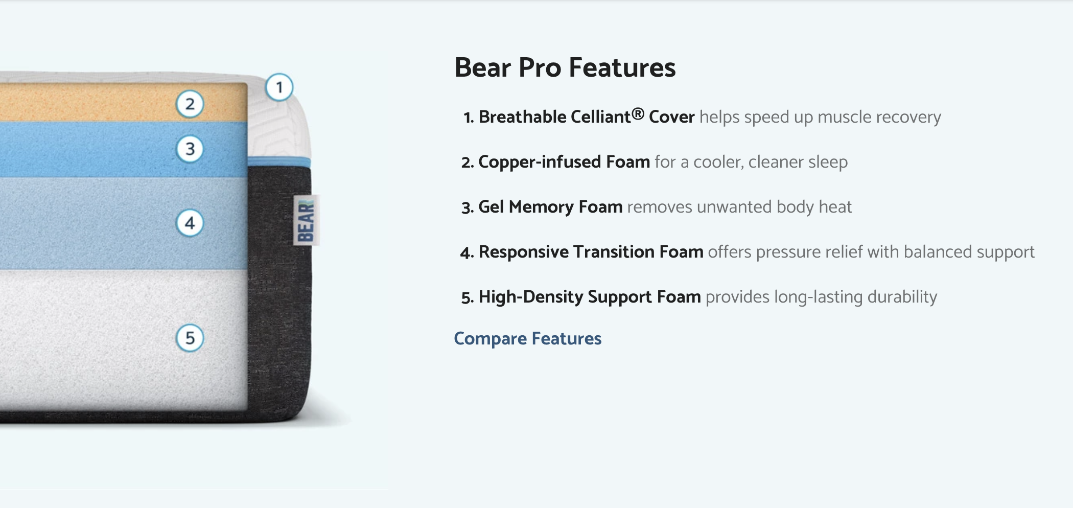 Bear Pro Mattress Reviews