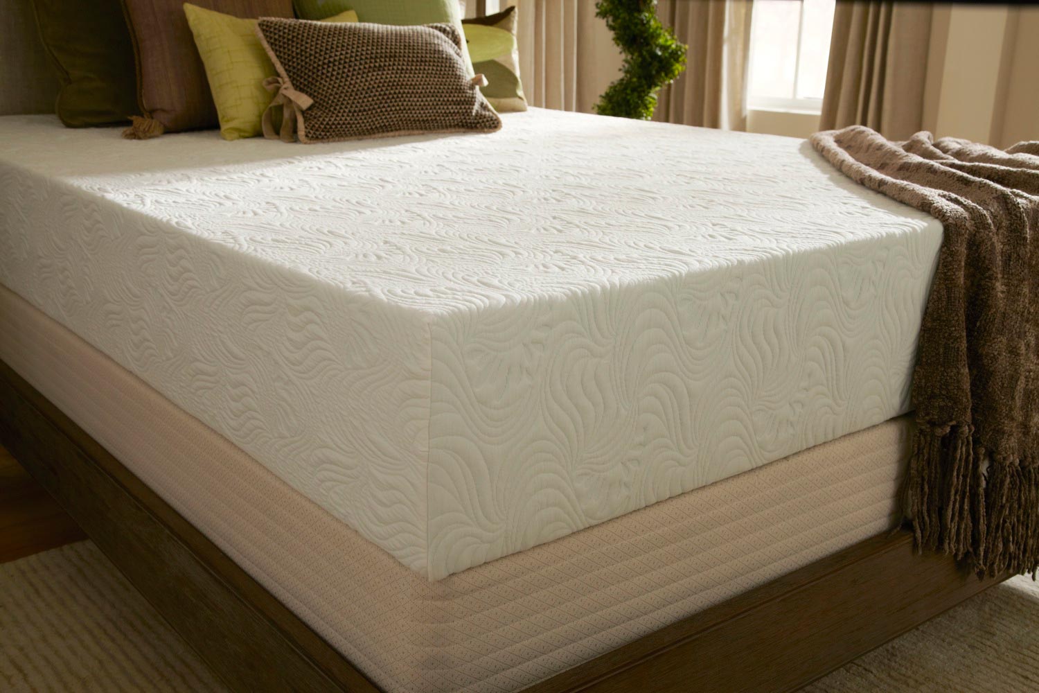 Plushbeds Eco Bliss 10" Medium Mattress Reviews