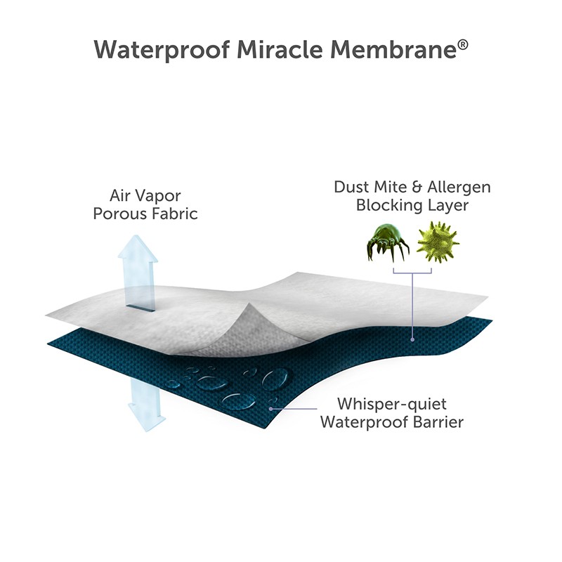 ProtectABed AllergenFree, Dust Mite & Waterproof 10Inch Memory Foam