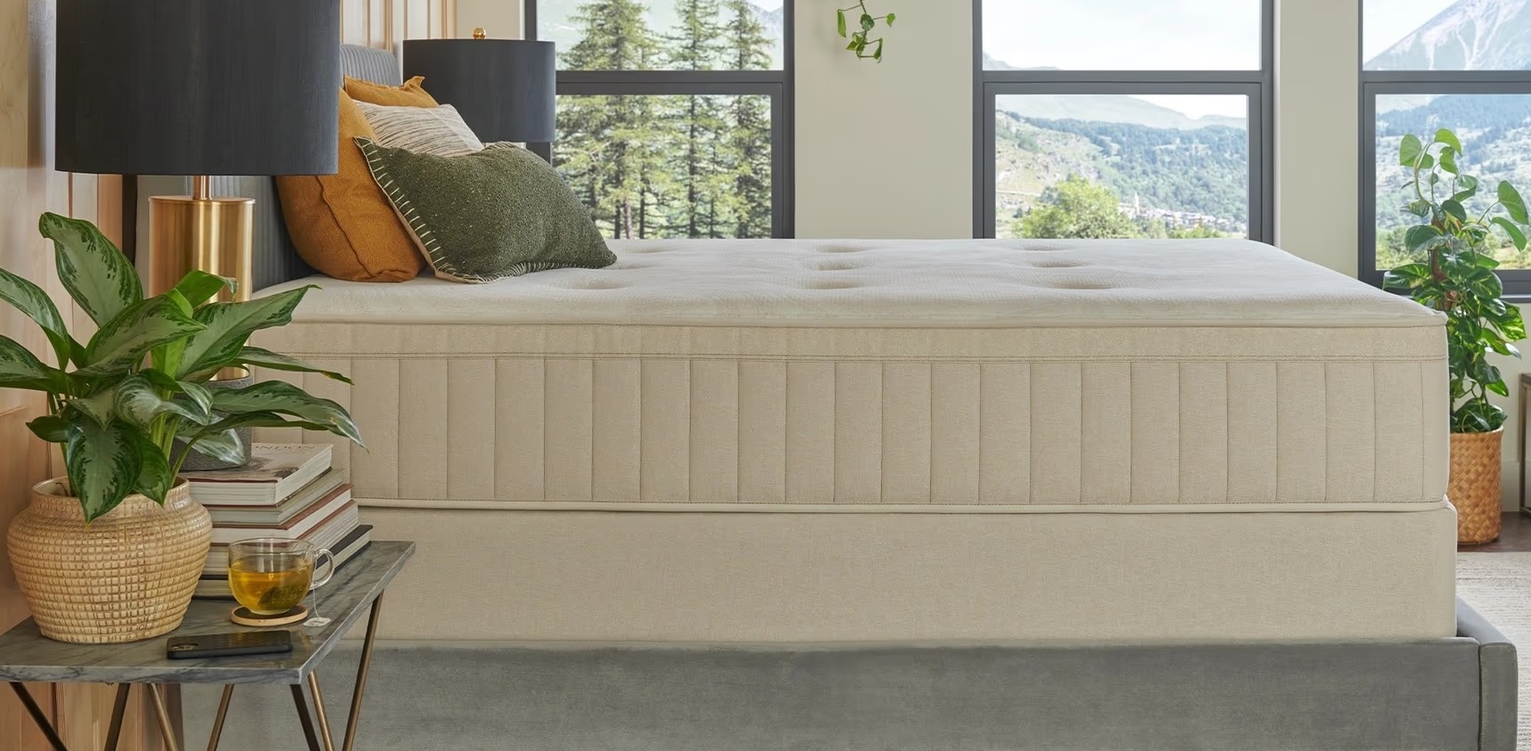 Sealy Naturals Soft Mattress Reviews