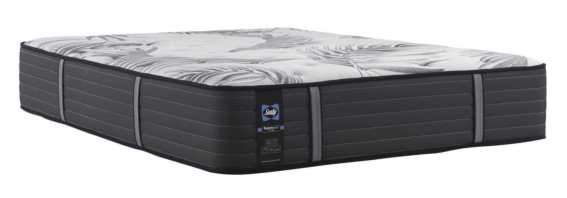 Sealy Posturepedic Plus Exuberant II Firm Tight Top Our Independent