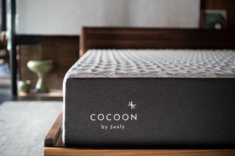 cocoon-by-sealy-picture-1.jpg